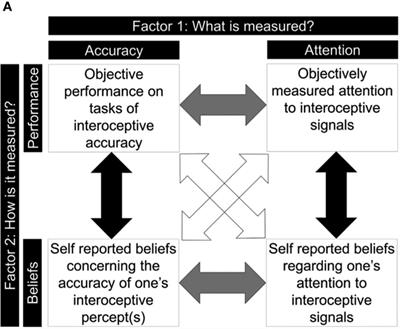 A roadmap to understanding interoceptive awareness and post-traumatic stress disorder: a scoping review